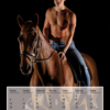 Horse and Hunk Kalender 2021 - Afbeelding 13