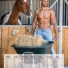 Horse and Hunk Kalender 2021 - Afbeelding 4