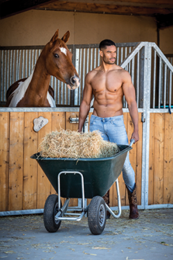 Canvasdoek maart Horse and Hunk kalender 2021