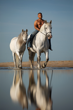 Canvasdoek augustus Horse and Hunk kalender 2023