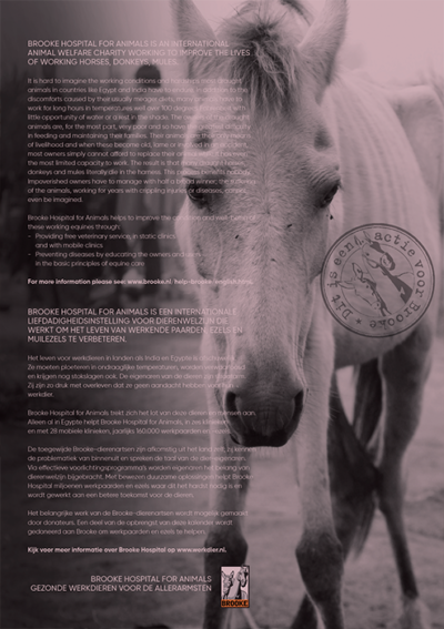 Horse and Hunk kalender 2025 - Afbeelding 14