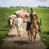 Horse and Hunk kalender 2024 - Afbeelding 5