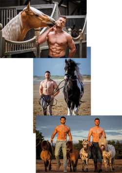 Horse and Hunk ansichtkaarten 2025