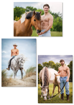 Horse and Hunk ansichtkaarten 2026